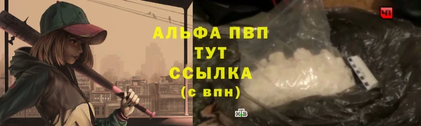 гашик Переславль-Залесский