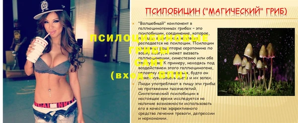 скорость Алзамай